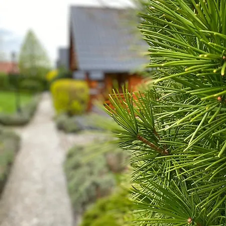 U Basi * كودوفا- زدروي