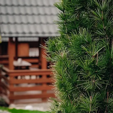 U Basi Holiday home Kudowa Zdroj