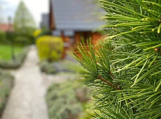 U Basi * Kudowa Zdroj