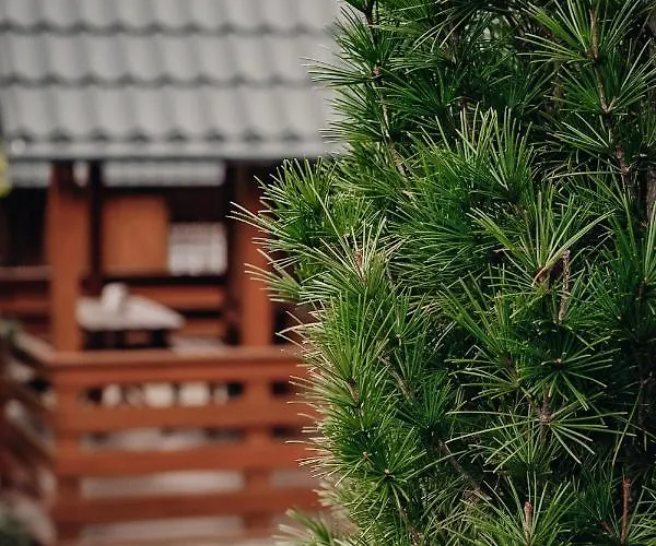 U Basi Holiday home Kudowa Zdroj