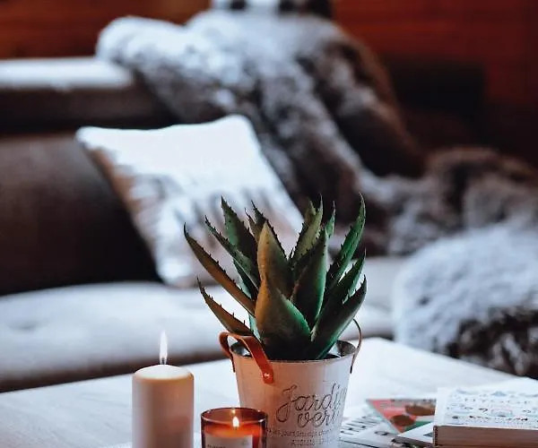 U Basi * Kudowa Zdroj